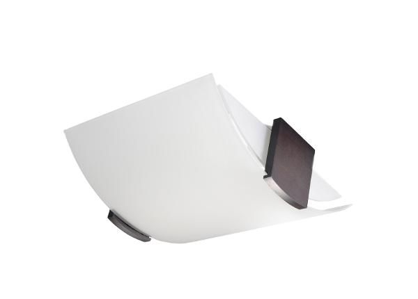 Kattovalaisin Emilio