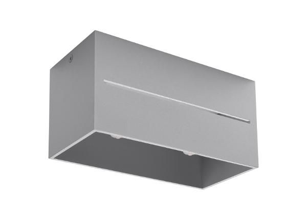 Kattovalaisin Lobo 2, harmaa