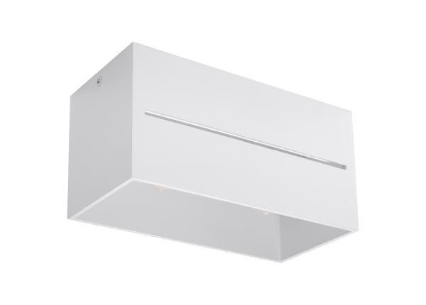 Kattovalaisin Lobo 2, valkoinen