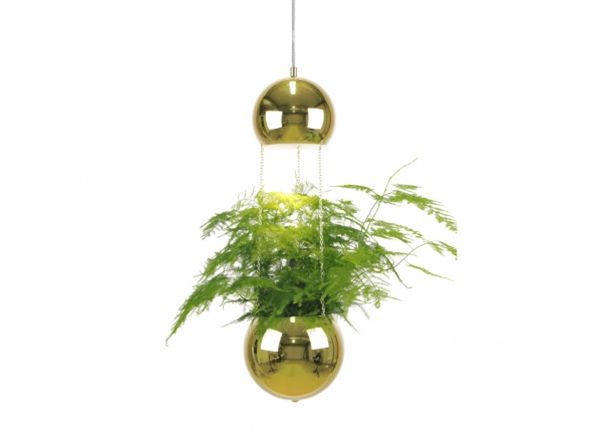 Kattovalaisin Planter