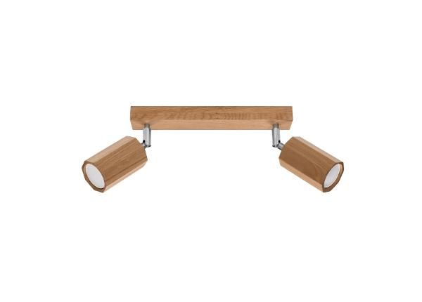 Kattovalaisin Zeke 2, tammi