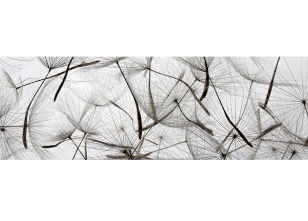 Keittiön välitila Dandelion Seeds 350x60 cm