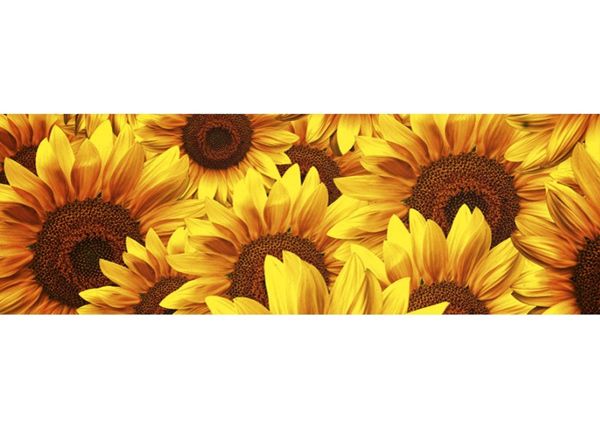 Keittiön välitila Helianthus 260x60 cm