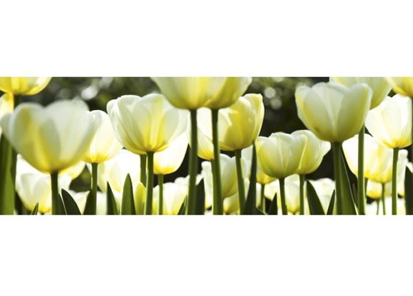 Keittiön välitila White tulips