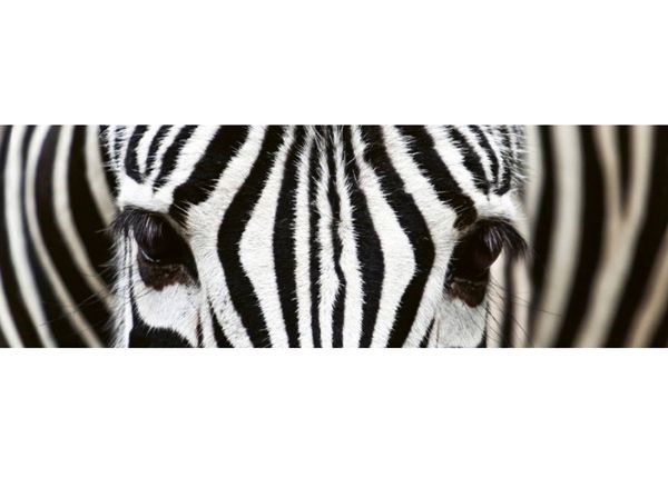 Keittiön välitila Zebra
