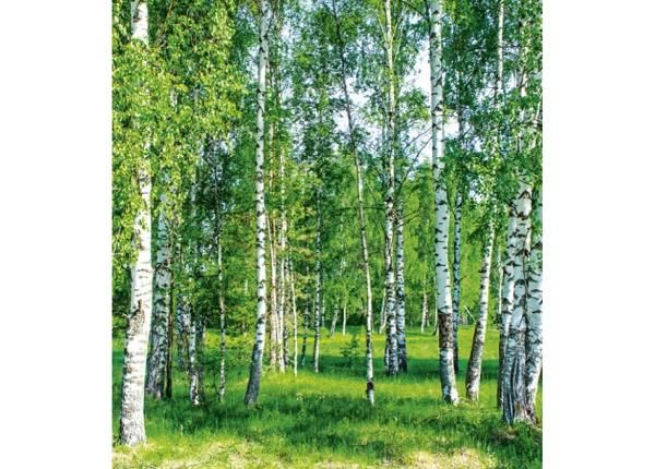 Non-woven kuvatapetti Birch grow 225x250 cm