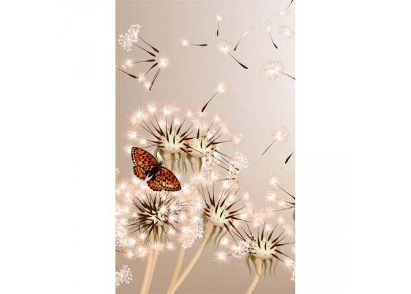 Non-woven kuvatapetti Dandelions and butterfly 150x250 cm