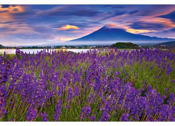 Non-woven kuvatapetti Fuji Mountain And Lavender