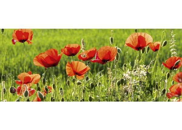 Non-woven kuvatapetti Poppy field 375x150 cm