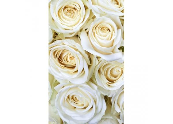 Non-woven kuvatapetti White roses