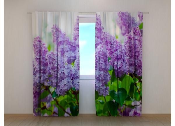 Pimennysverho Garden Lilac 240x220 cm