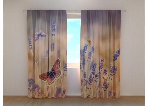 Pimennysverhot Butterflies on Lavender 240x220 cm