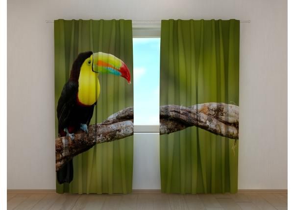 Pimennysverhot Toucan on the Branch 240x220 cm