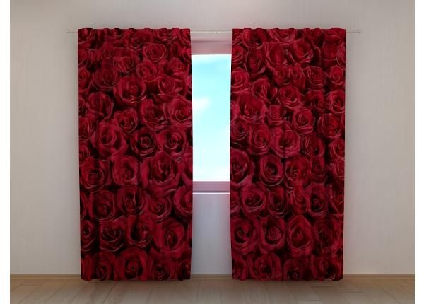 Puolipimentävä kuvaverho Lovely Red Roses 240x220 cm