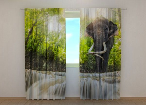 Puolipimentävä verho BIG ELEPHANT 240x220 cm
