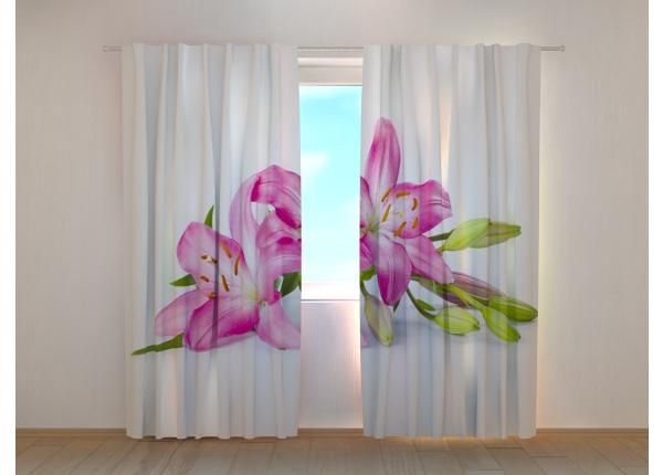 Puolipimentävät verhot Big Pink Lilies 240x220 cm