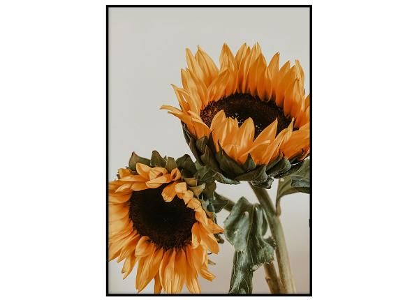 Seinäjuliste Auringonkukat II