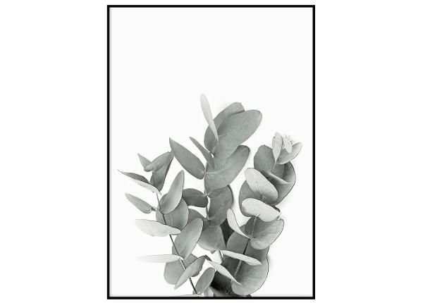 Seinäjuliste Eucalyptus III