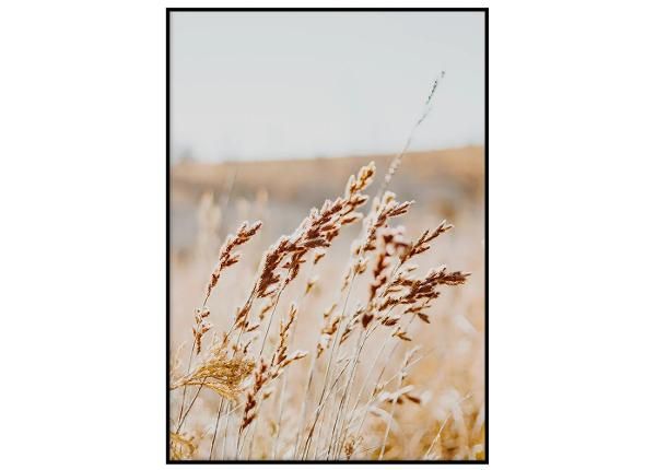 Seinäjuliste Kaislat III