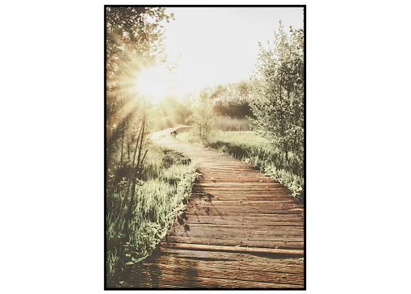 Seinäjuliste Kesäilta II