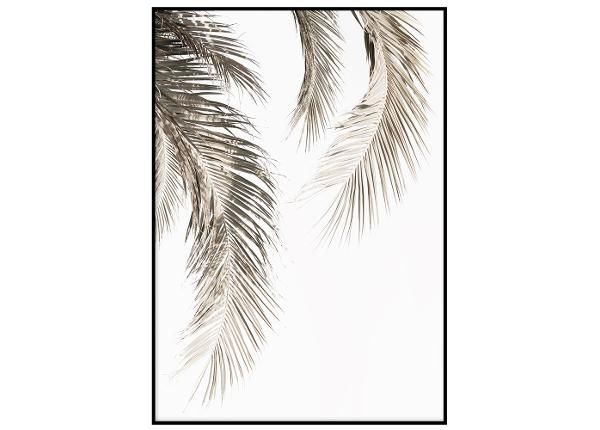 Seinäjuliste Kuivuneet palmunlehdet II