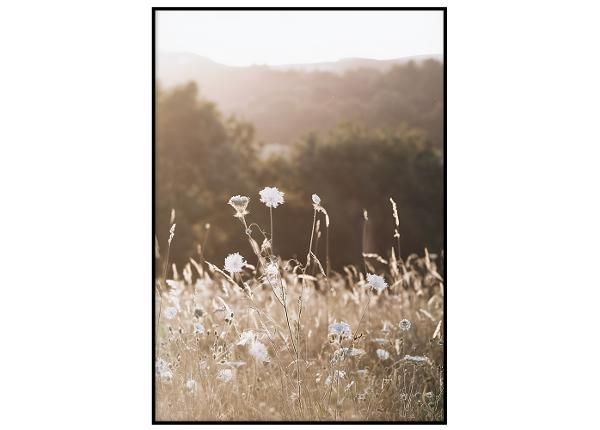 Seinäjuliste Lämmin auringonlasku I