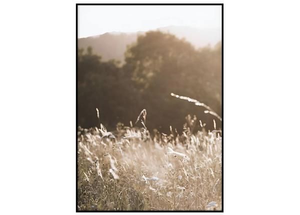 Seinäjuliste Lämmin auringonlasku II