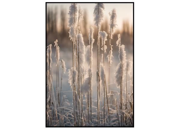 Seinäjuliste Lumiset kaislat II
