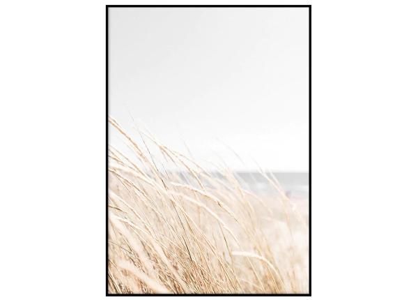 Seinäjuliste Luonnossa I