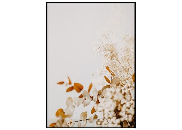 Seinäjuliste Oranssit lehdet I