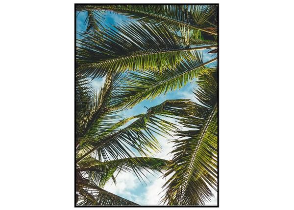 Seinäjuliste Palmunlehdet auringossa