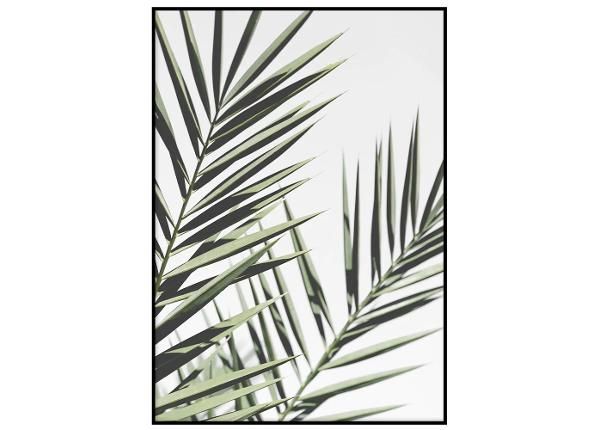 Seinäjuliste Palmunlehti I