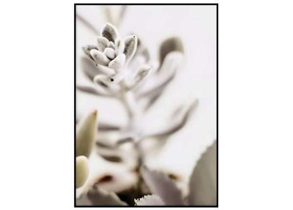 Seinäjuliste Pastelli kaktus I