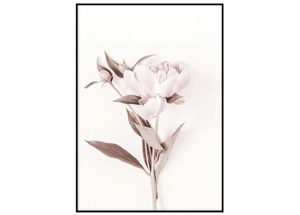 Seinäjuliste Pastelli pinkki I