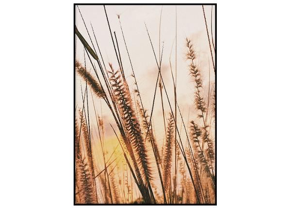 Seinäjuliste Ruoho auringonlaskun aikaan II