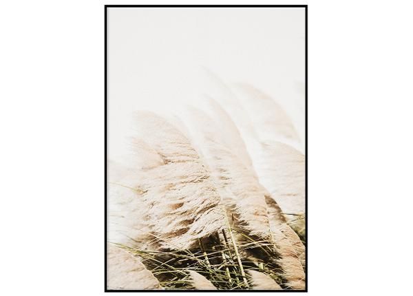 Seinäjuliste Tuulen puhaltama kaisla