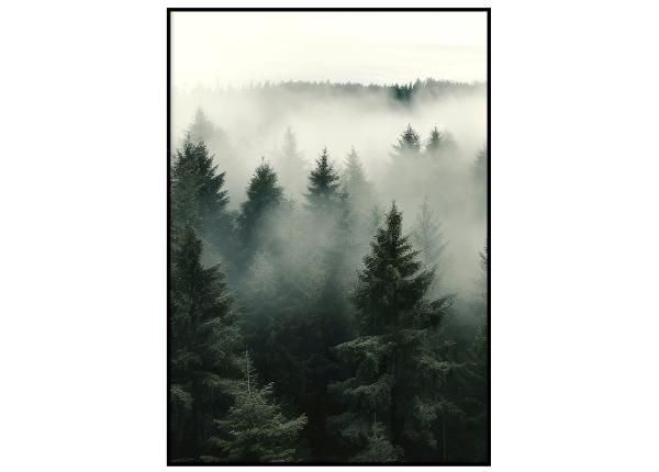 Seinäjuliste Usvainen metsä I