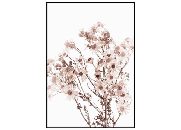 Seinäjuliste Vaaleanpunainen kasvitiede II