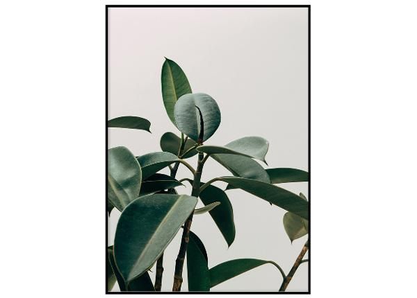 Seinäjuliste Vihreä kasvi