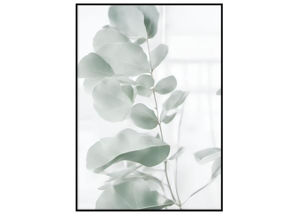 Seinäjuliste Vihreät eukalyptuksen lehdet I