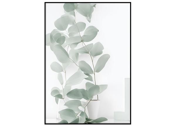 Seinäjuliste Vihreät eukalyptuksen lehdet II