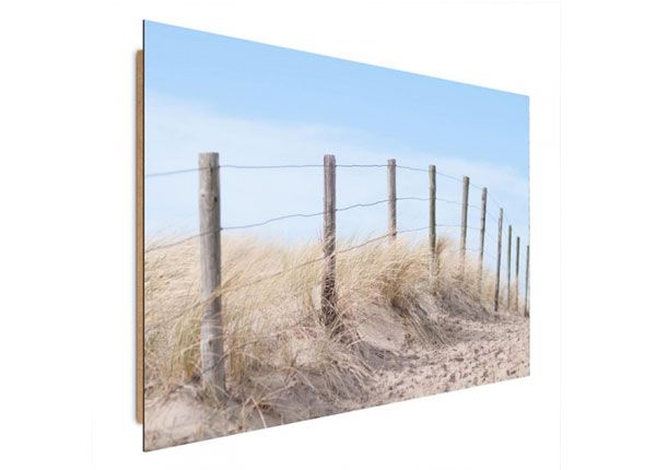 Taulu Seaside dune 70x100 cmx100 cm