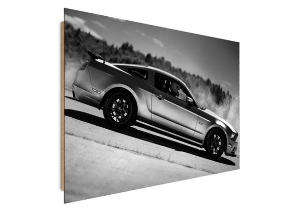 Taulu Sports car 4 40x50 cm