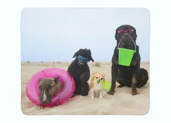 Torkkupeitto Dogs Resting on a Beach 150x200 cm