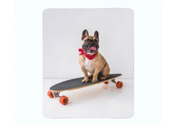 Torkkupeitto French Bulldog on Skateboard